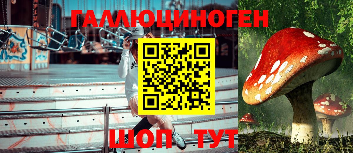 Галлюциногенные грибы GOLDEN TEACHER  Вход с VPN  Сафоново 