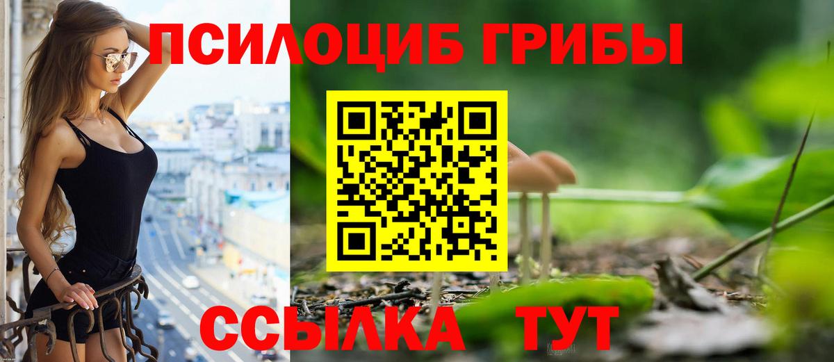 Галлюциногенные грибы прущие грибы Сафоново